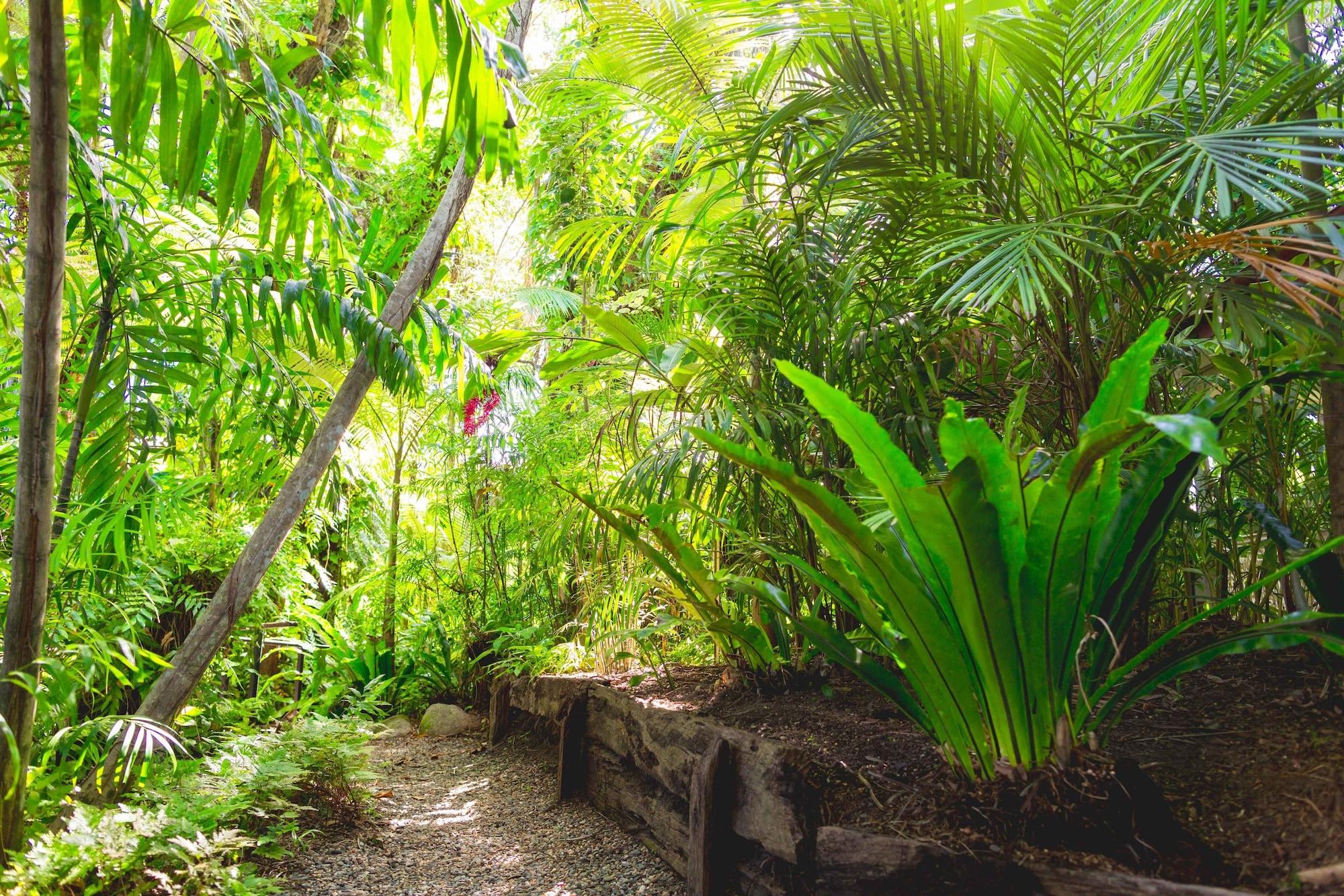 Cairns Colonial Club Resort Luaran gambar